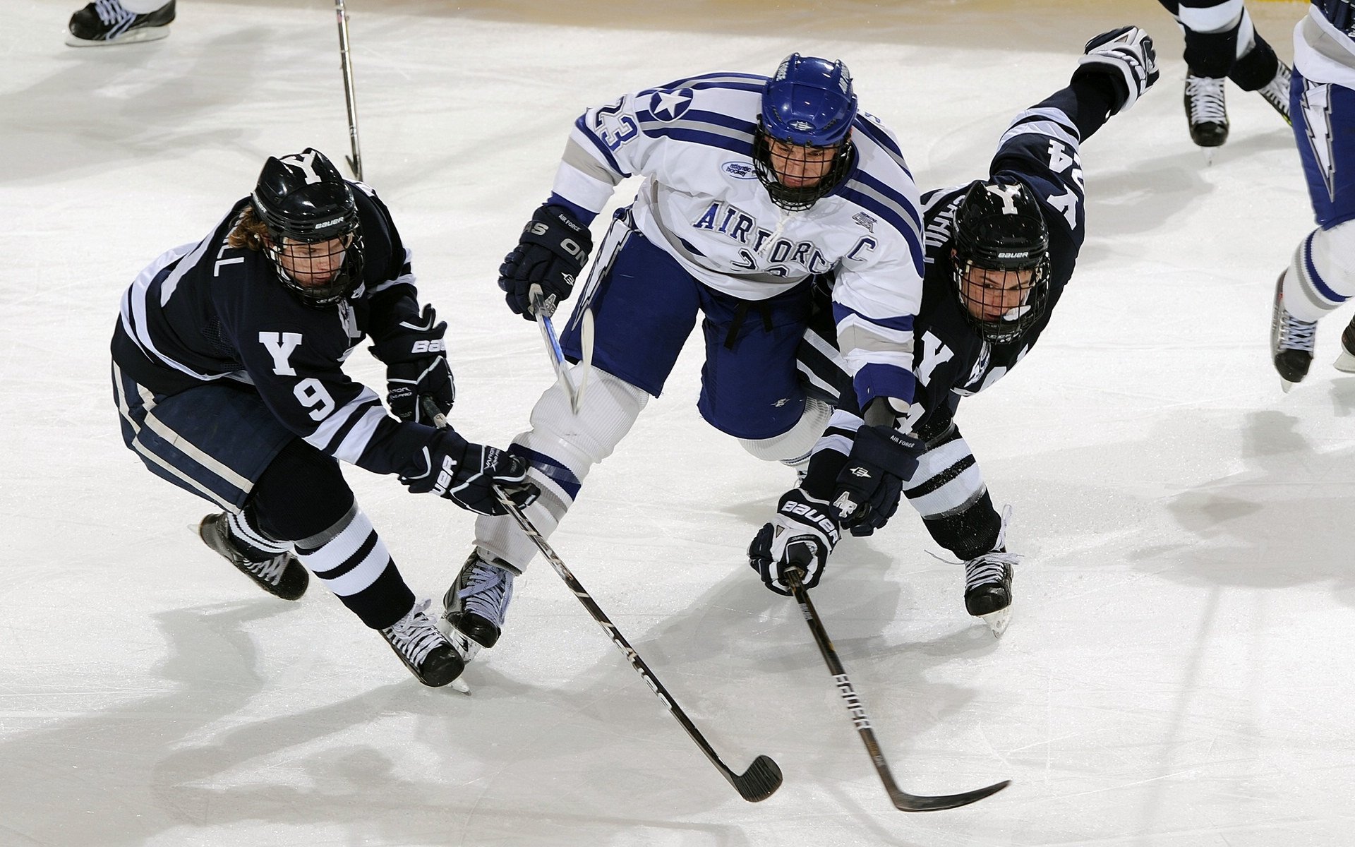 WNBA纽约自由人估值达4.5亿美元，创女子体育队伍新纪录，纽约自由人比赛